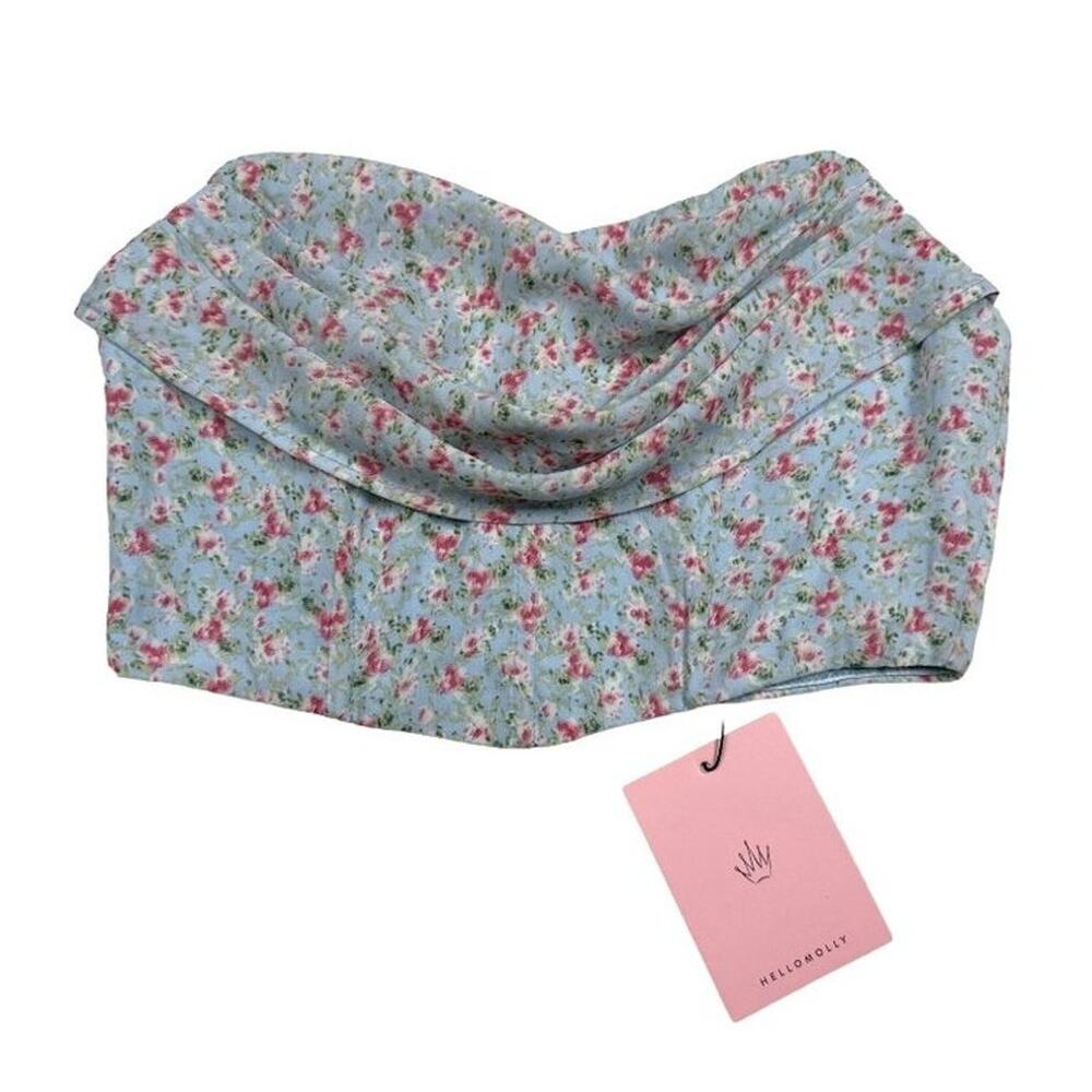 Hello Molly - Sylvan Scenes Floral Crop Top in Blue and Pink